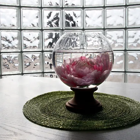 호텔 Ancora 폰테카냐노